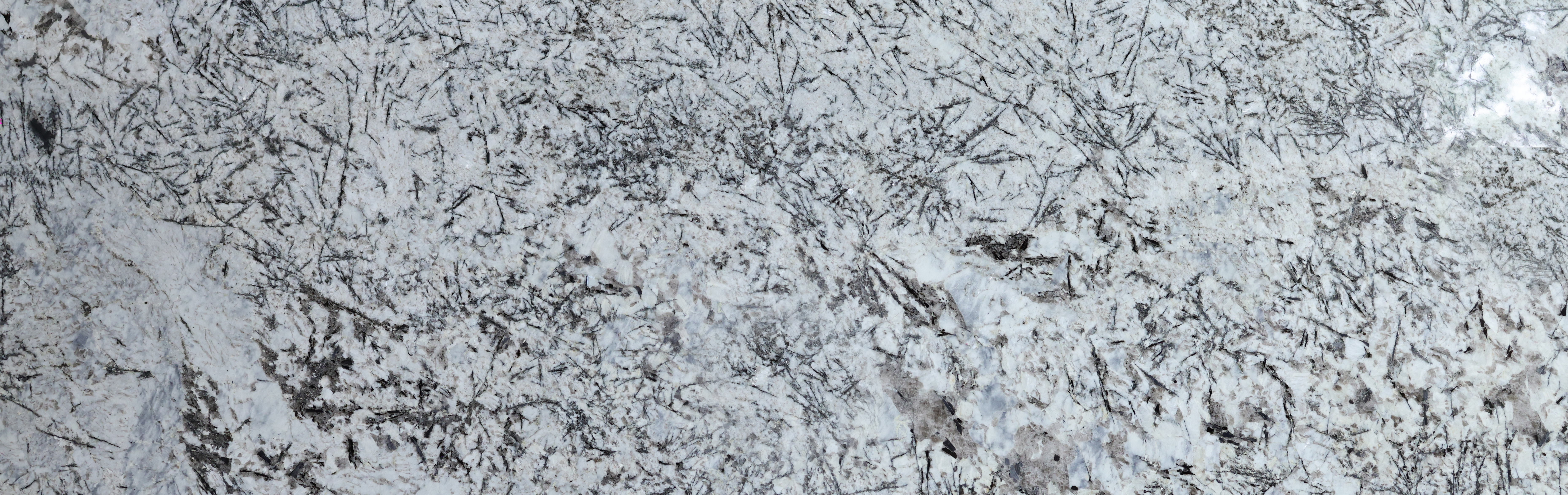 ALASKA WHITE Hover