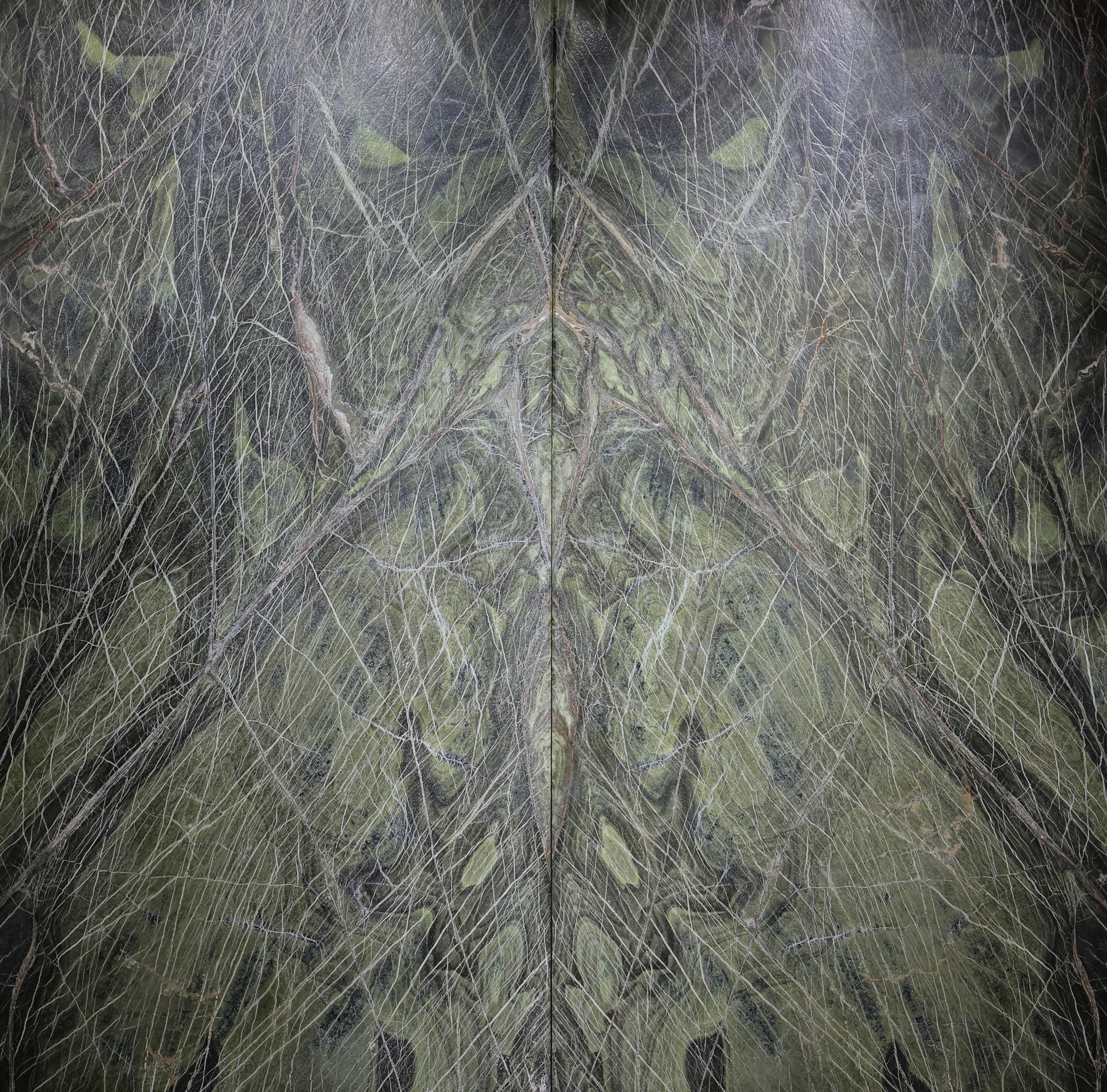 AMAZON FOREST Hover