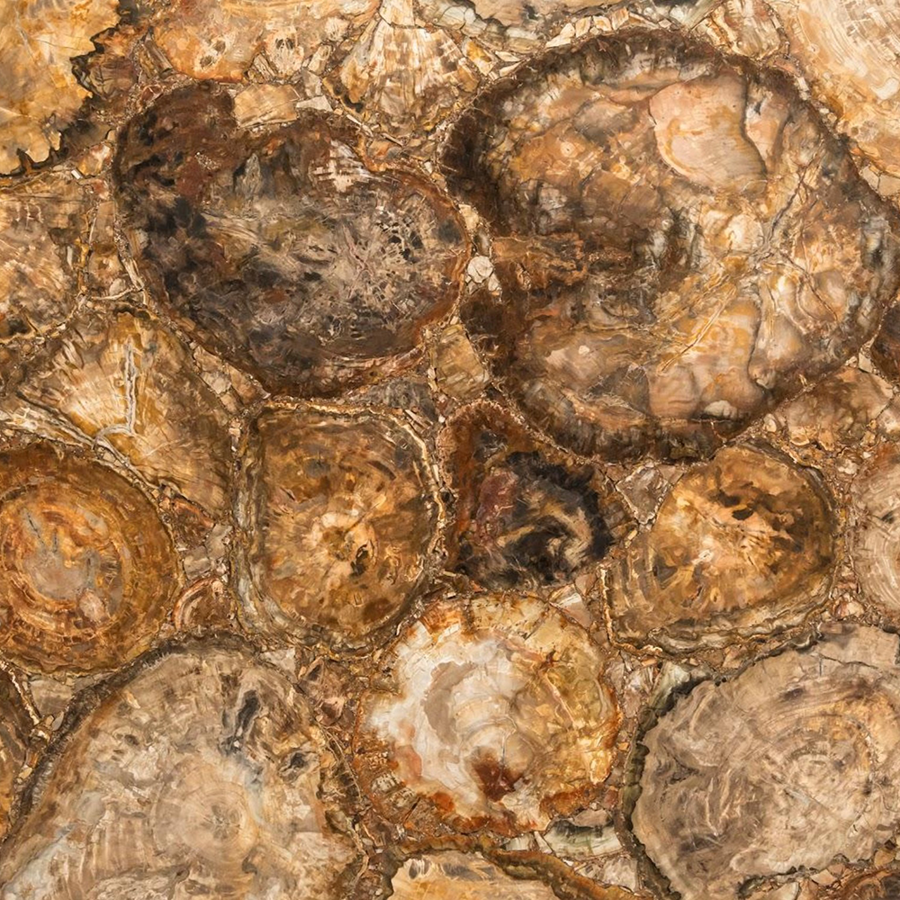 BROWN PETRIFIED RETRO