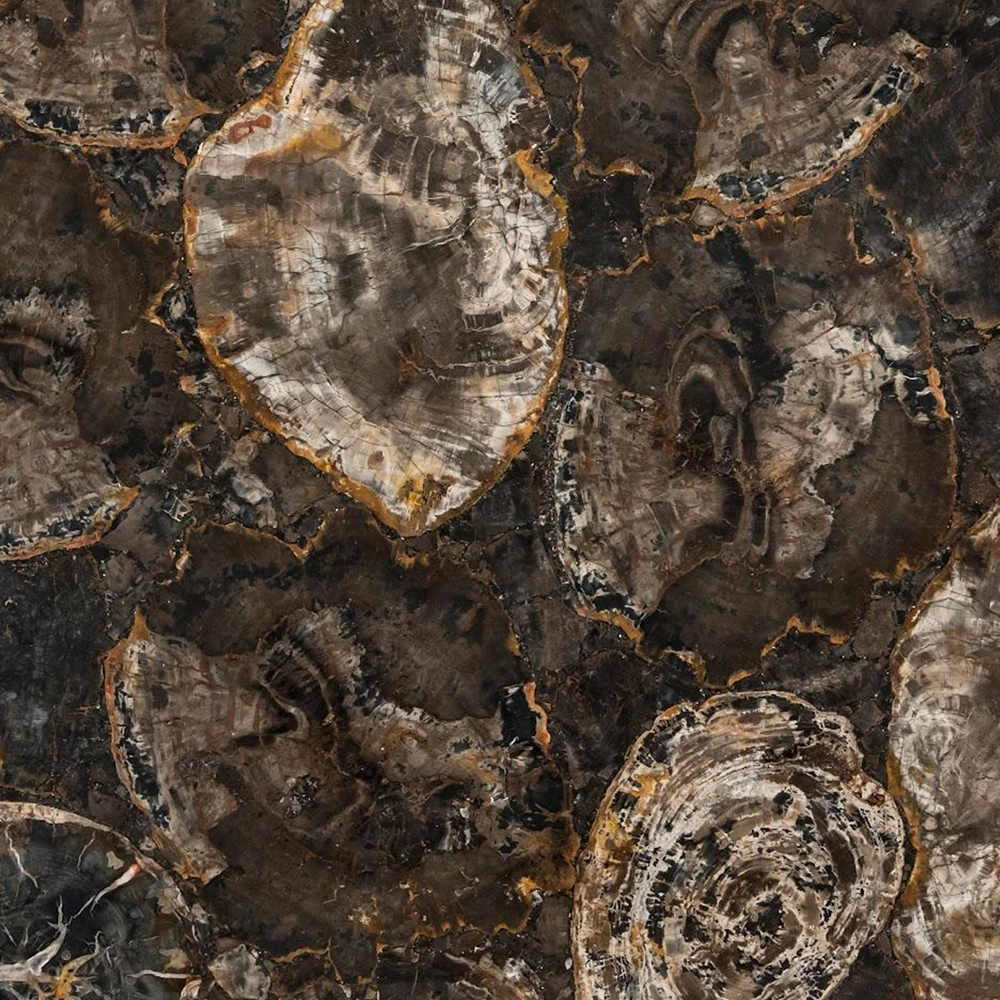 BLACK PETRIFIED  
